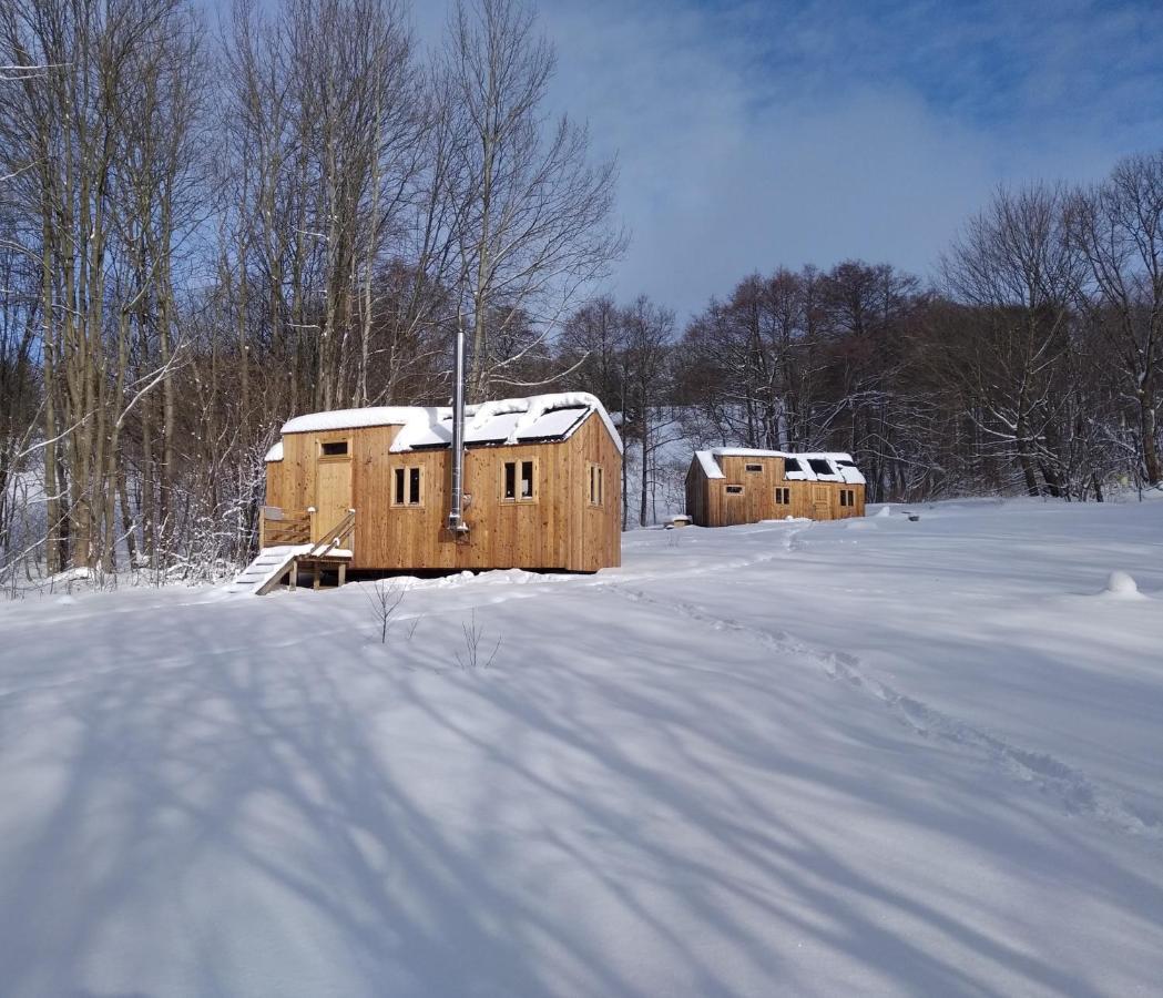 Celorocni Glamping V Pohodlnem Domecku Villa Vyprachtice Ngoại thất bức ảnh